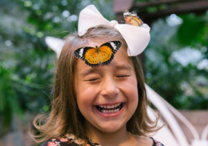 butterfly palace