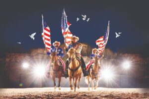 dp stampede