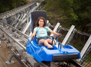 mountain coaster