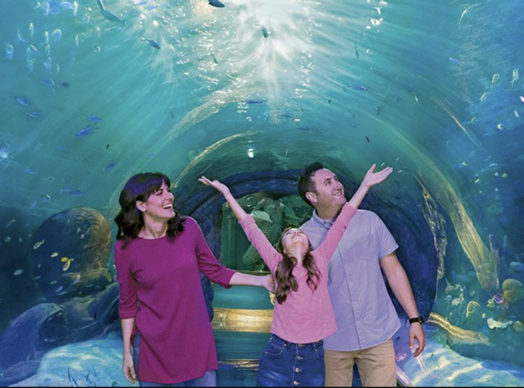 aquarium
