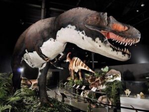 dino museum