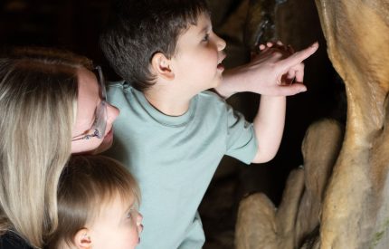 talking rocks
