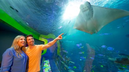 aquarium-branson