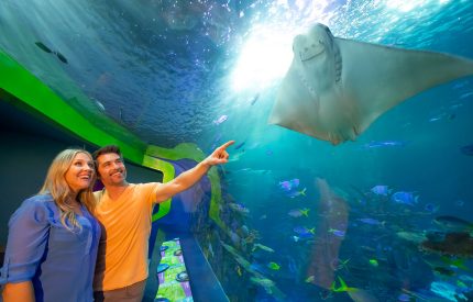 aquarium-branson