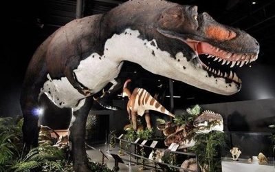 dino museum