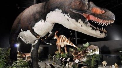 dino museum