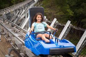 mountain coaster
