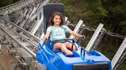 mountain coaster