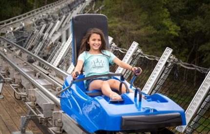 mountain coaster